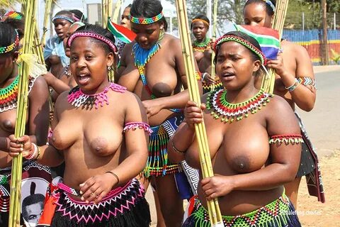 Swaziland Reed Dance Girls Free Download Nude Photo Gallery.
