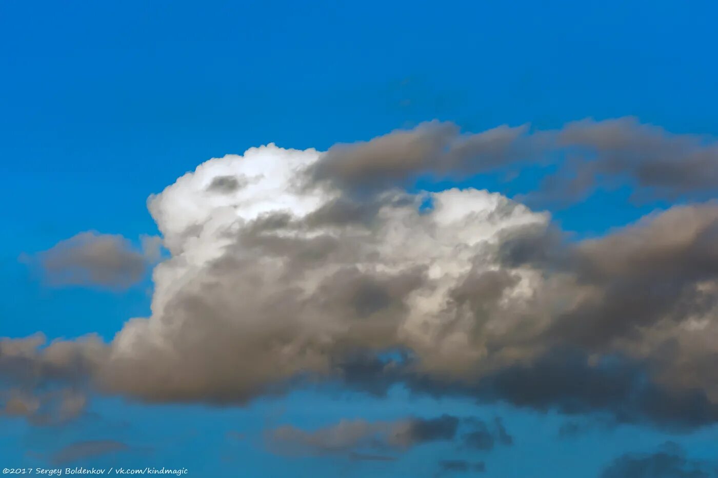 Обитатель облаков. Облака форма. Облака похожие на животных. Облака в форме животных. На что похоже облако.