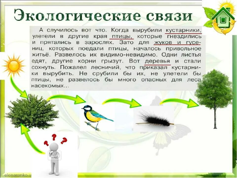 Экологические взаимосвязи. Примеры экологических связей. Невидимые нити 2 класс. Невидимые нити 2 класс окружающий мир. Экология 3 4 классы