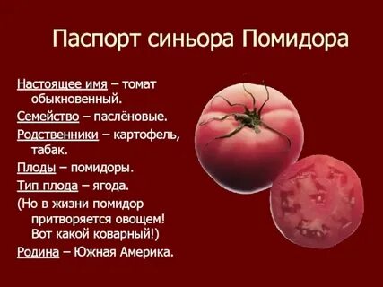 К какому виду плода относится помидор