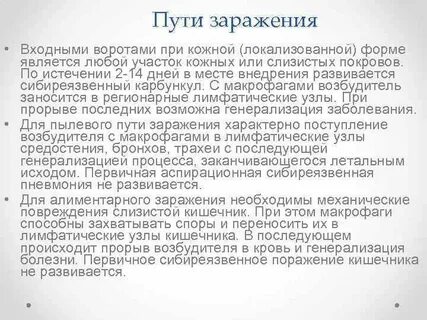 Входные ворота сибирской язвы