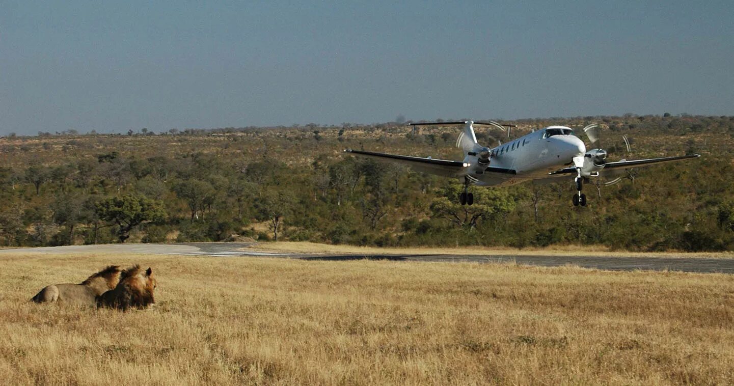 Cessna caravan. Самолеты танзании. Самолеты танзании. Аруша танзания кофе. Самолет.