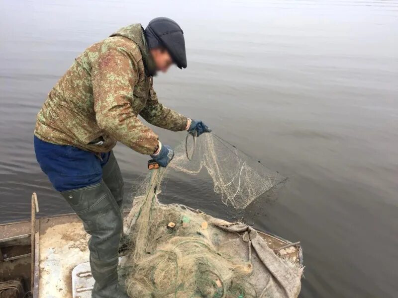 Помогите гоби и южную добыть рыбу. Рыболовство на зимовальных ямах. Сеть для ловли рыбы. Ловля рыбы на ямах. Зимовальная яма для рыб что это.