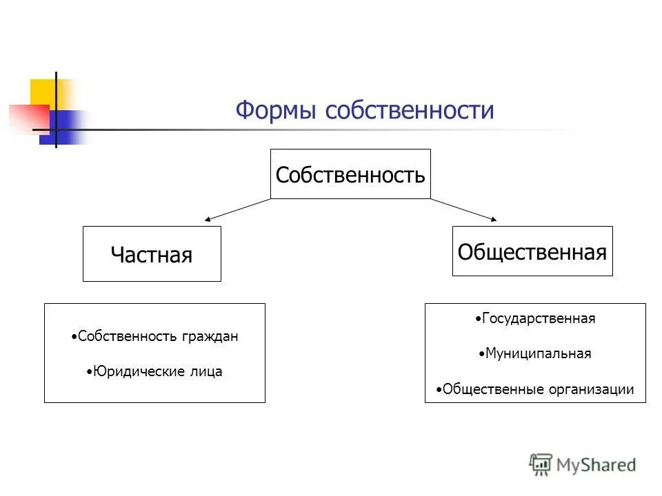 Образом частная государственная муниципальная и. Частная и общественная собственность. Форма собственности общественной организации. Формы собственности примеры. Формы собственности предприятий.