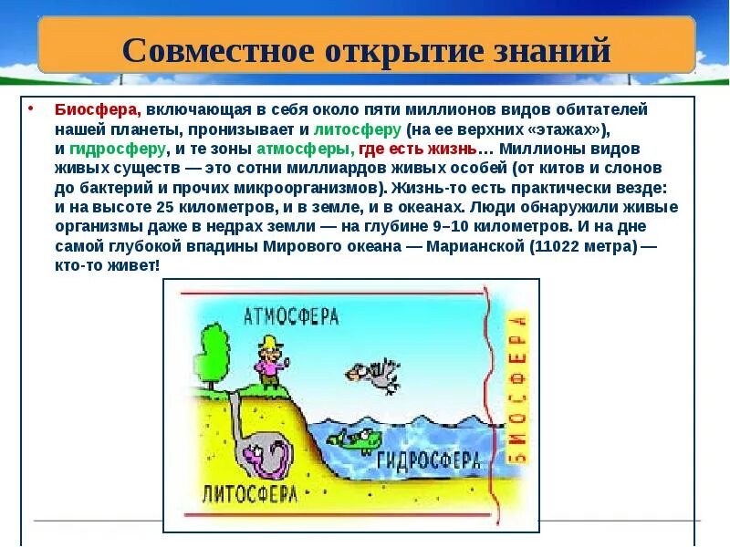 Атмосфера возникла позже биосферы. Кто обитает в атмосфере. Живые организмы обитающие в биосфере. Какие живые организмы обитают в атмосфере. Организмы обитающие в атмосфере.