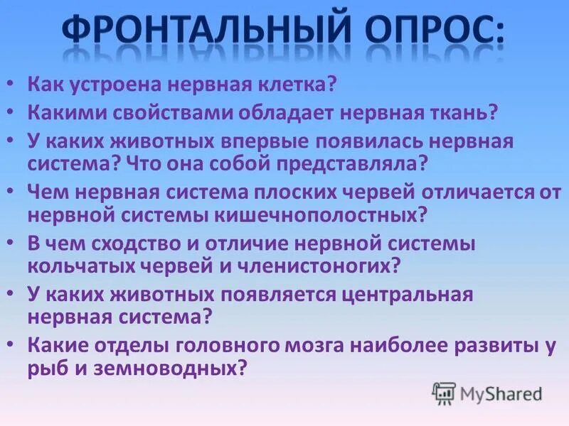 Биология 7 класс нервная система рефлекс инстинкт. Фронтальный опрос. Какими свойствами обладает нервная ткань. Какими свойствами обладает нервная система. Какими свойствами обладает нерв.