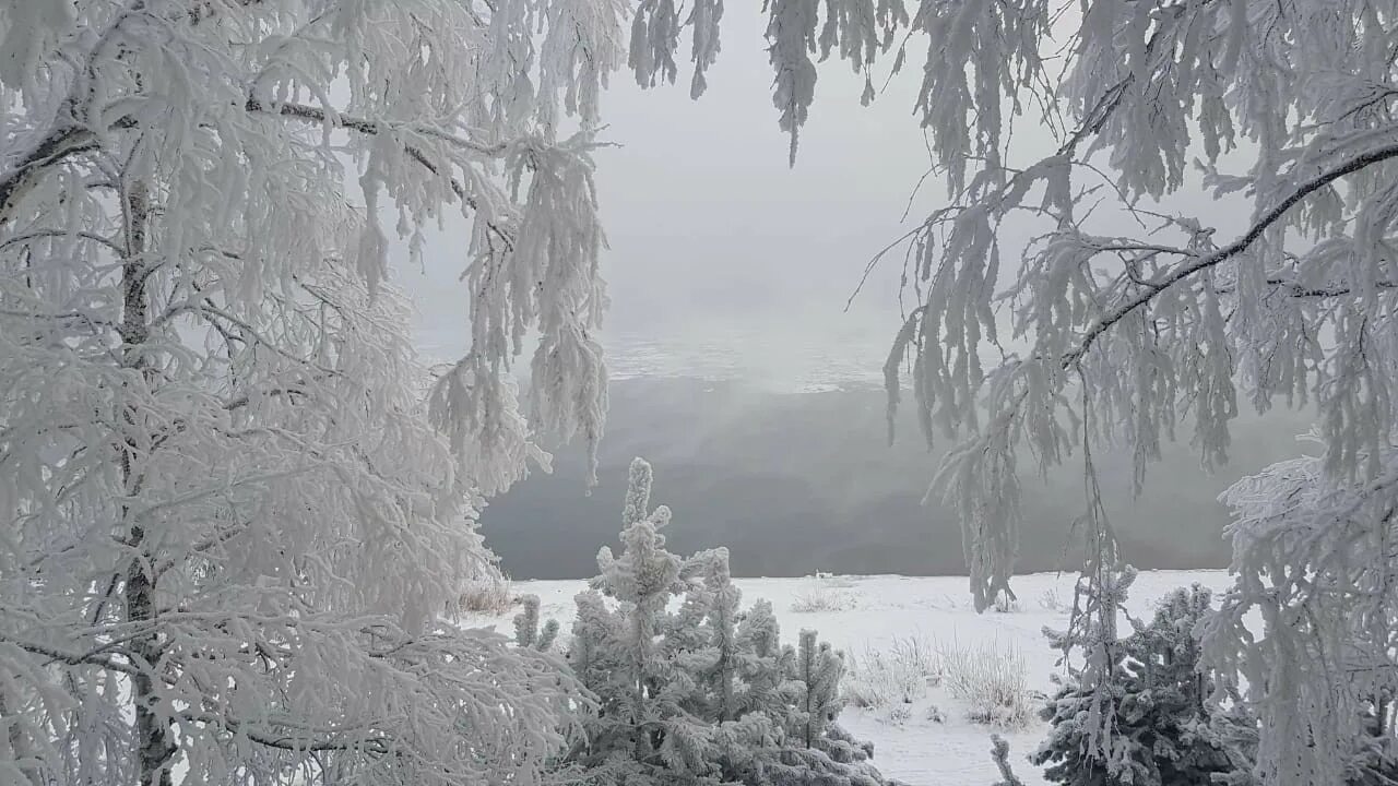 Оберегать от зимней стужи 8 букв. Сильный Мороз. Морозы лютуют. Томск Мороз. Зима лютует картинки.