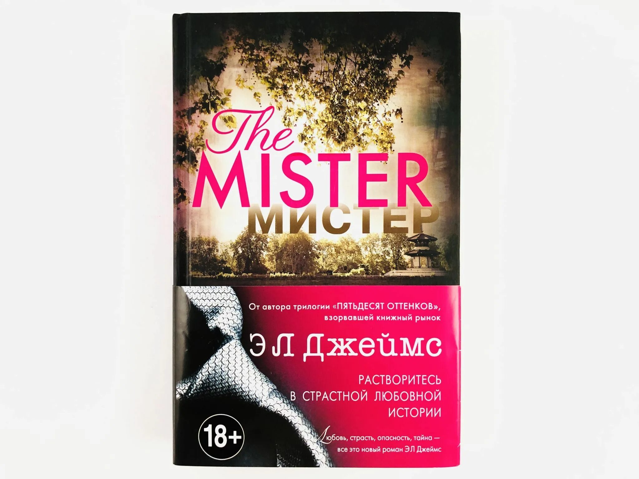 Мистер книга. Книга мистер. Эллис кэт "мистер джиттерс". "christian capone". "мистер мерседес".