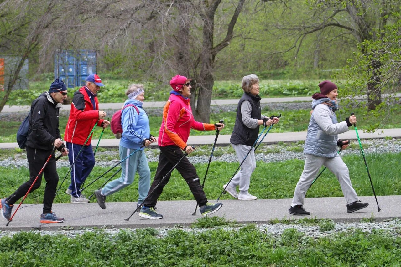 финская ходьба с палками. скандинавская ходьба в москве. скандинавская ходьба московское долголетие. спорт скандинавская ходьба. скандинавская ходьба в парке.