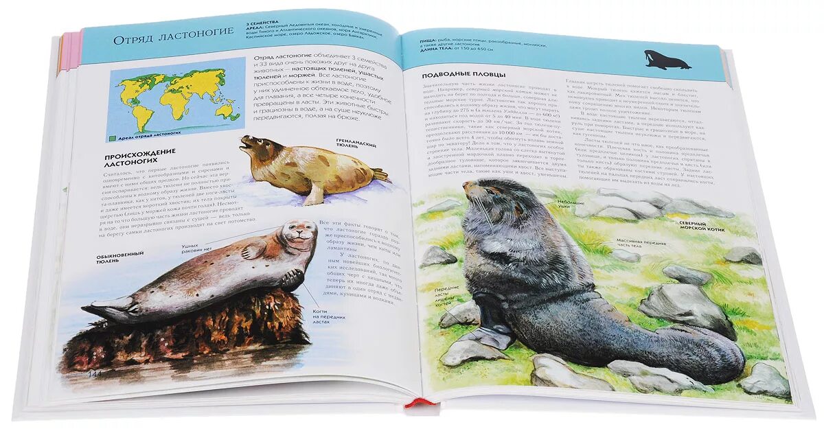 Энциклопедия ю школьник. Полководцы россии. Растения. Книга полководцы россии полная энциклопедия. Полководцы россии полная энциклопедия.