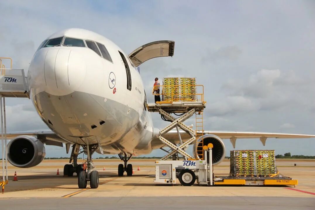 Перевозящий людей самолет. Cargo a329. C-160 Air Cargo. Люфтганза грузовой самолет. Грузовой самолет карго.