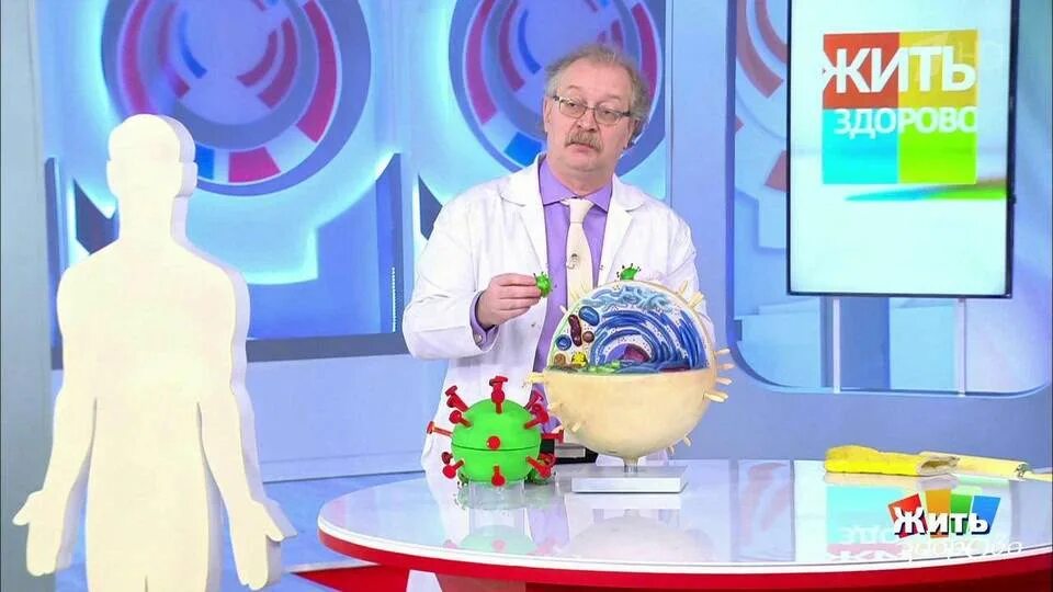 Жить здорово от 10 10 24. Жить здорово дыхание родины.