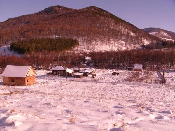 Бирюля республика алтай. Елиново Солонешенский район. Село Матвеевка Солонешенского района Алтайского края. Бирюля Республика Алтай история.