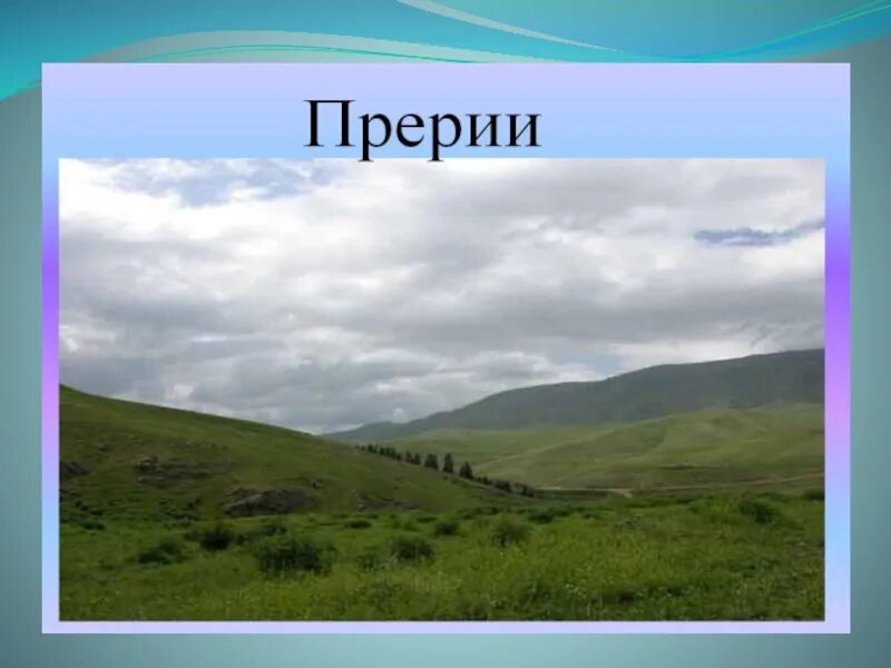 Прерия значение. Прерия что это такое презентация. сообщение о прерии. прерии это в географии. что такое прерия в географии кратко.
