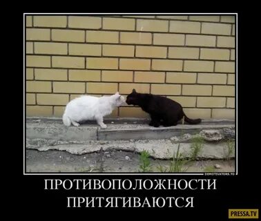 Фигурально