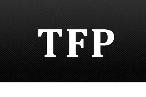 Tfp модель. Тфп модель. tfp модели. tfp фотосессия что это. тфп картинка.
