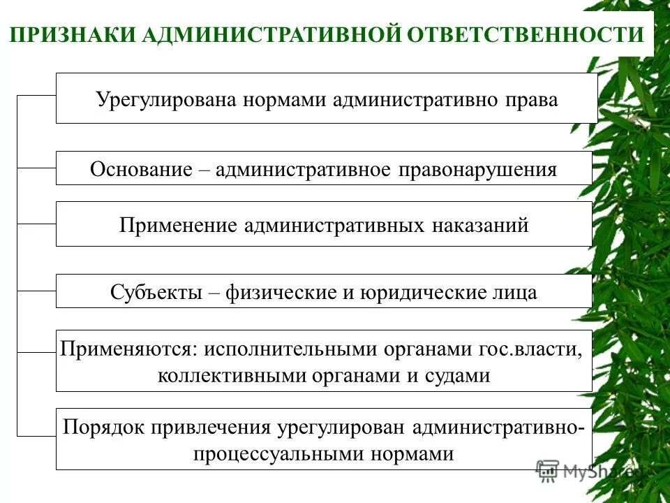 Признаки административной деятельности