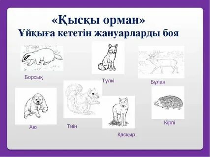 Қазақ әйелдері порно видеода пәктігін жоғалтады