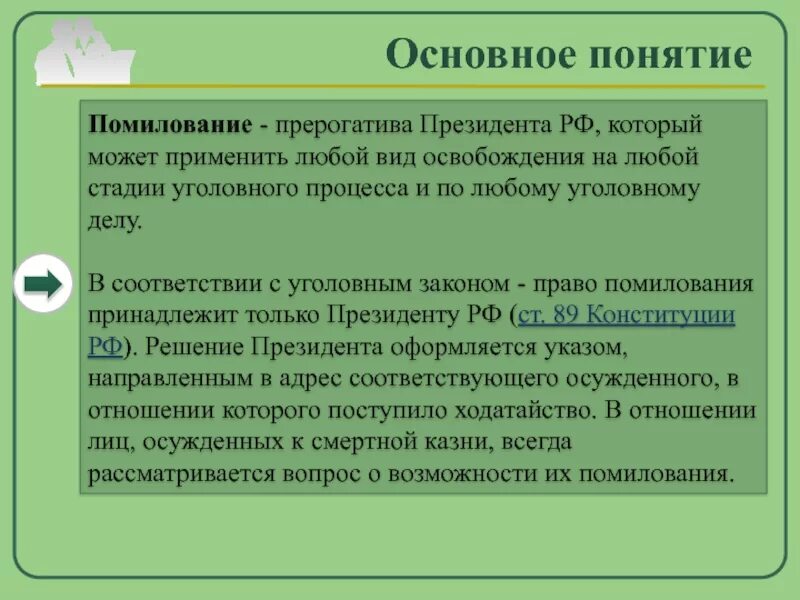 Право объявления амнистии принадлежит. Полномочия объявление амнистии. Постановление об амнистии принимает. Кто принимает решение об амнистии.