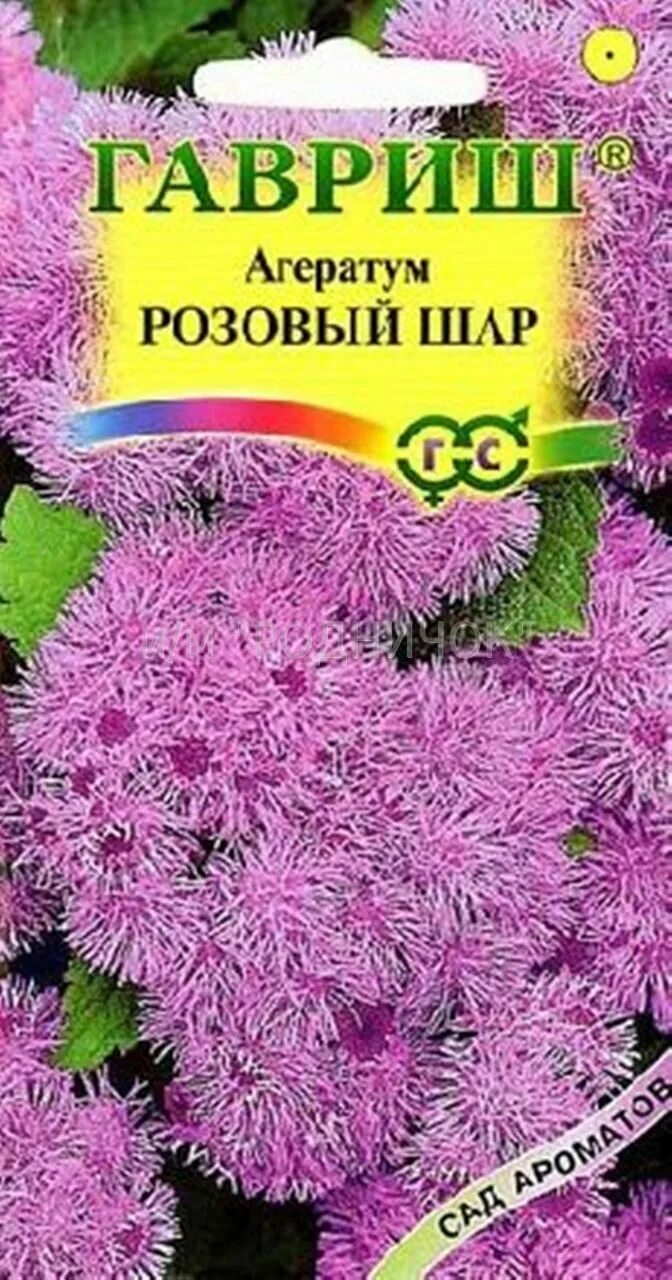 Гавриш агератум розовый шар. Агератум сокровища ацтеков 0,1г Гавриш. Агератум розовый шар. Агератум мексиканский розовый шар.