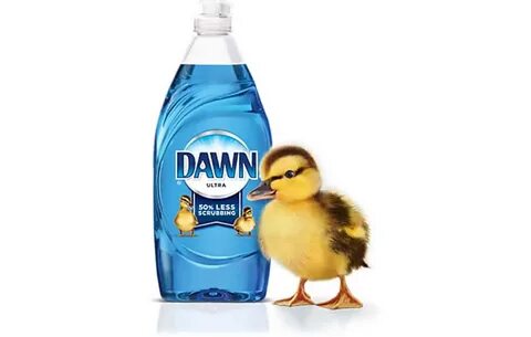 Blue down