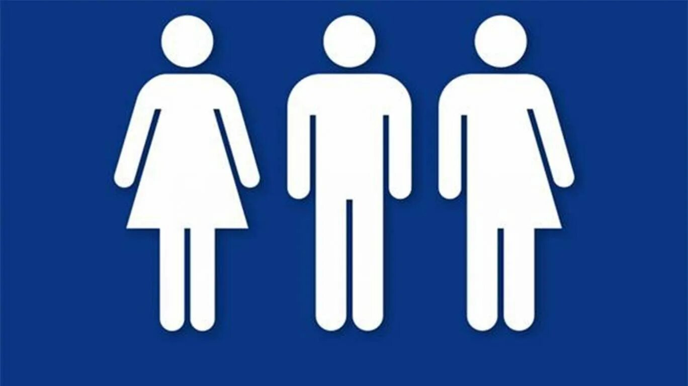 гендерная модель это. гендерной нейтральные. гендерно-нейтральный язык. нейтральный гендер. гендерно нейтральный туалет.