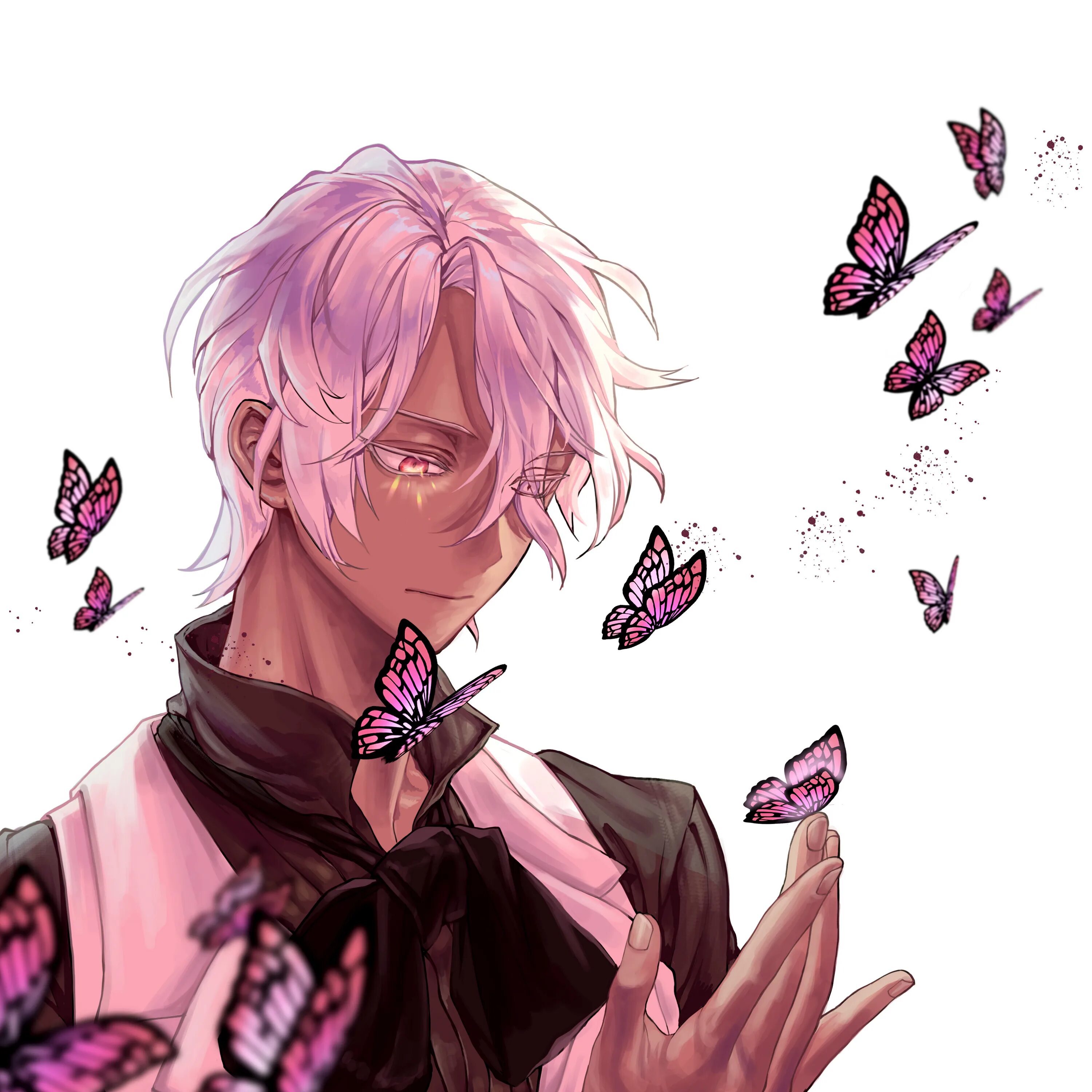 Case of vanitas