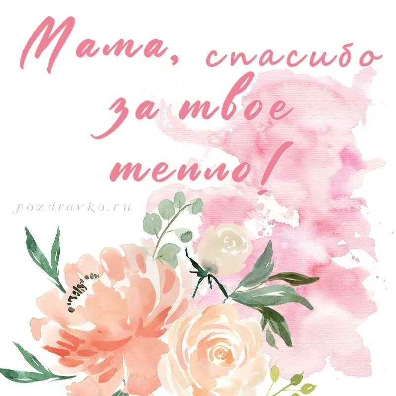 Спасибо мамулечка. Открытка спасибо мама. спасибо с днем матери. спасибо с днем матери картинки. открытка благодарность маме.