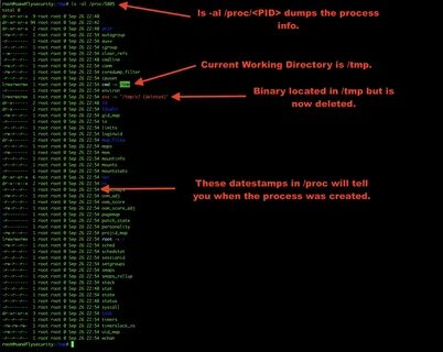 Id linux
