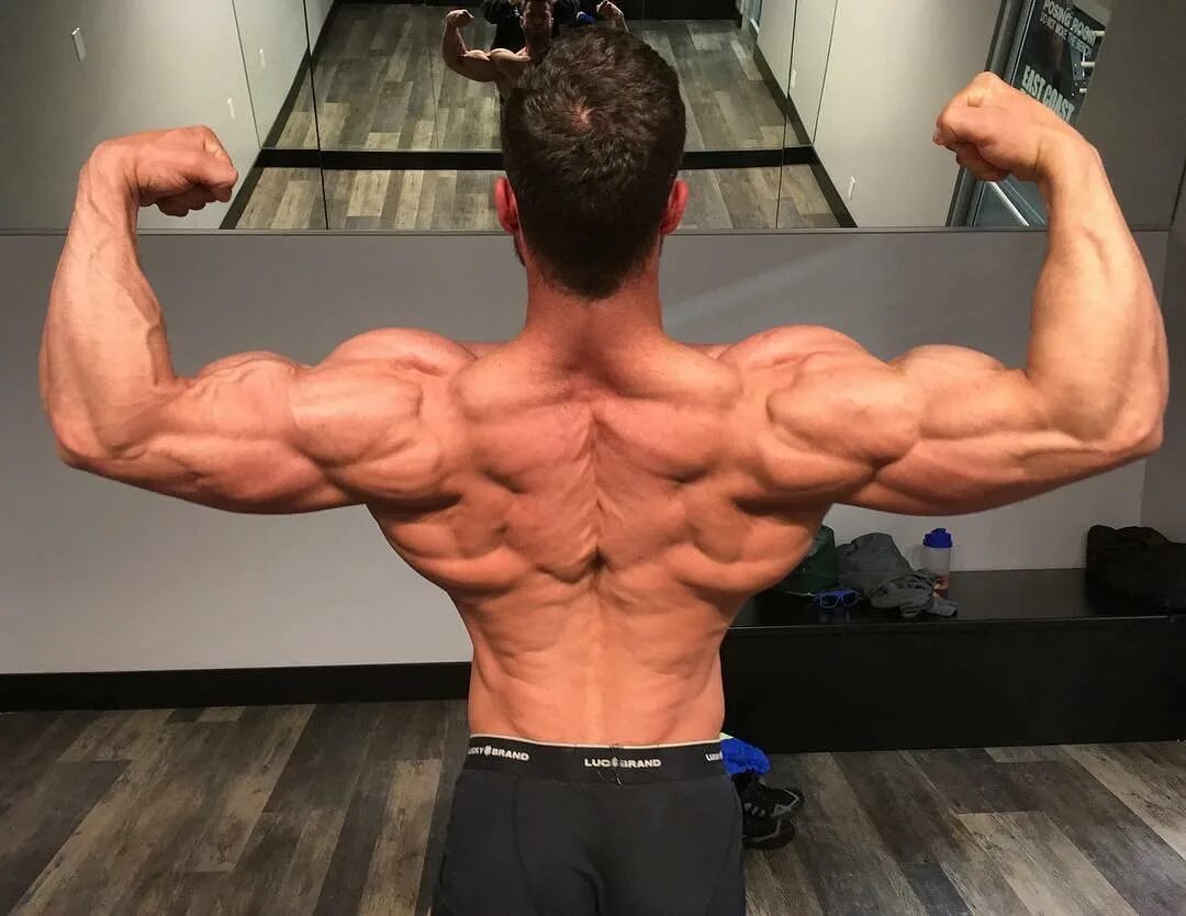 Hunter's bridled passion. Going to в косвенной речи. Brain exam with benefits. Two weeks before. Two weeks before.