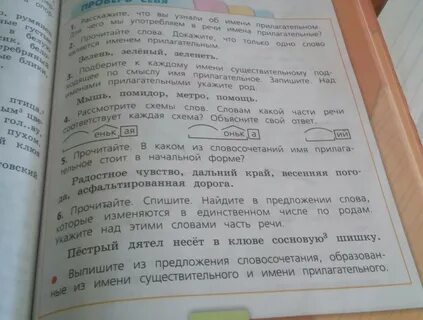 Выписать слова в начальной форме