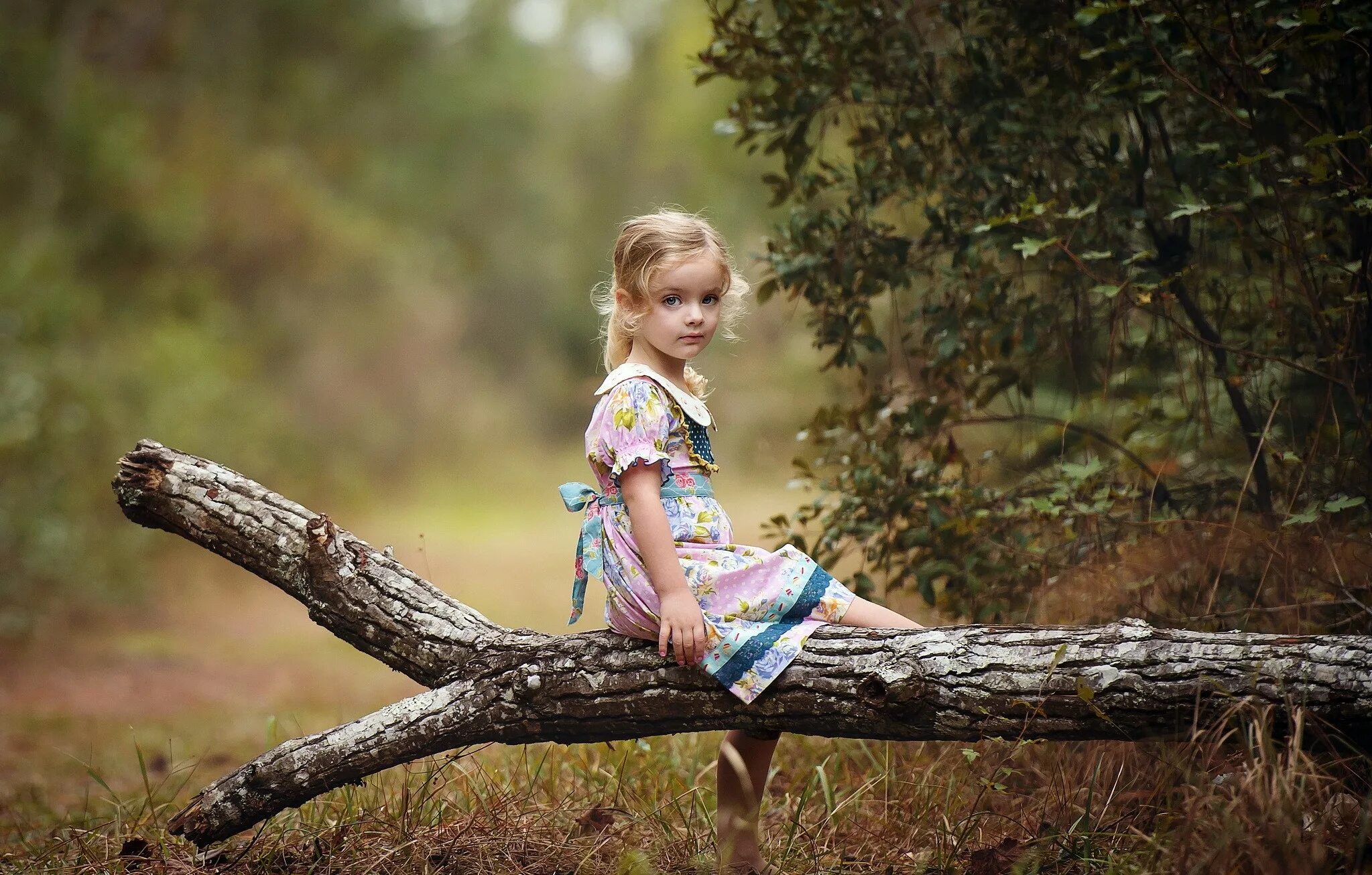 She little life. Детская фотосессия на природе. Детская фотосессия в лесу. Девочка. Маленькая девочка на дереве.