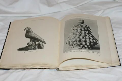 Фарфоровый учебник этнографии о чем идет речь