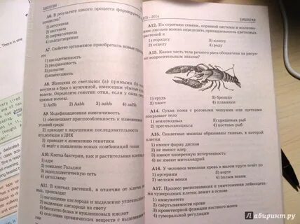 Задания по зоологии