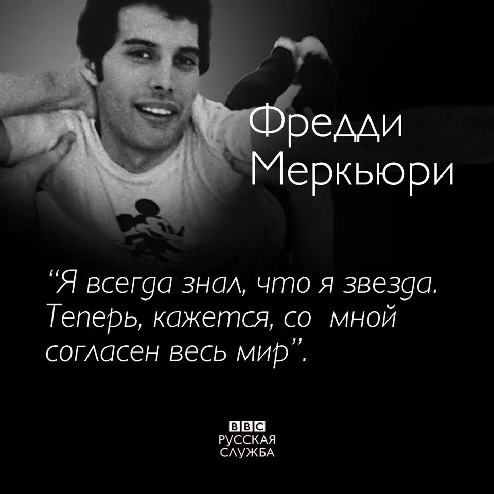 Фраза фредди. Фредди Меркури высказывания. Freddie Mercury цитаты. Цитаты Фредди. Высказывания Фредди Меркьюри.