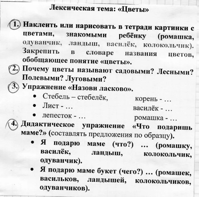 Лексическая тема растения. Задания по лексической теме цветы. Лексическая тема цветы в старшей логопедической группе. Задание по лексической теме комнатные растения. Лексическая тема цветы