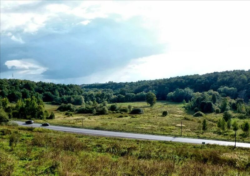 Захарьинская пойма. Ландшафтный заказник долина реки сходни в куркино. Захарьинская пойма. Захарьинская пойма химки. Река сходня в куркино.