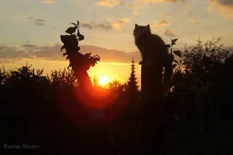 Кончилась летняя ночь