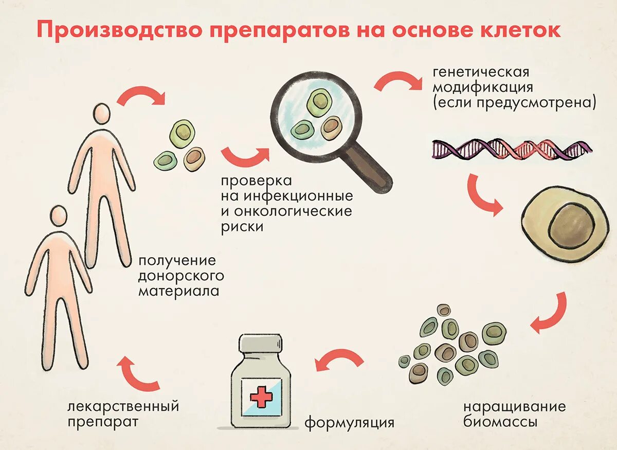 Лекарство на основе клеток. Получение лекарственных препаратов. Лекарство на основе клеток. Стабилизатор мембран тучных клеток лекарство. Лекарство на основе клеток.