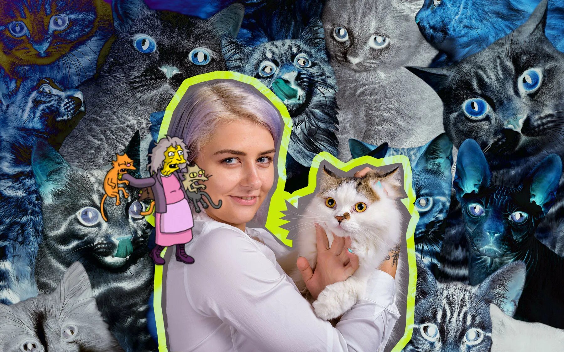 Причины завести кота. Тейлор свифт кошки мюзикл. Как стать человеком котом. Кошки мюзикл 2019. Как стать котом.