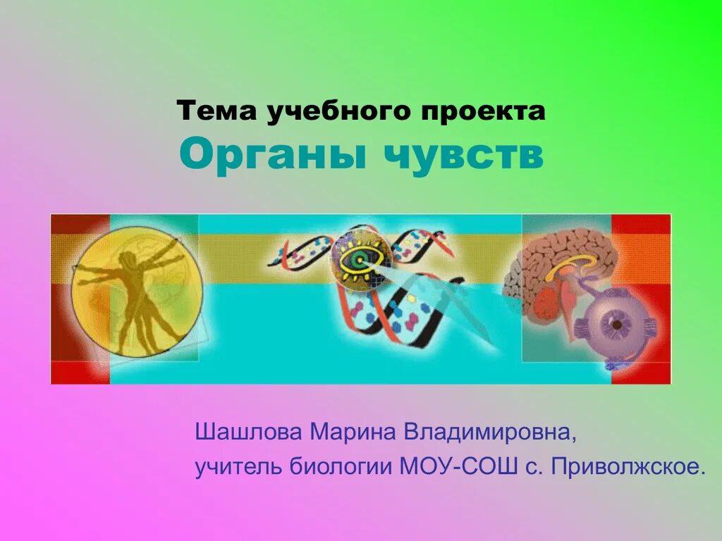 Аудио урок биологии. Органы чувств. Проект органы чувств. Проект по теме органы чувств. Интересные проекты по биологии.