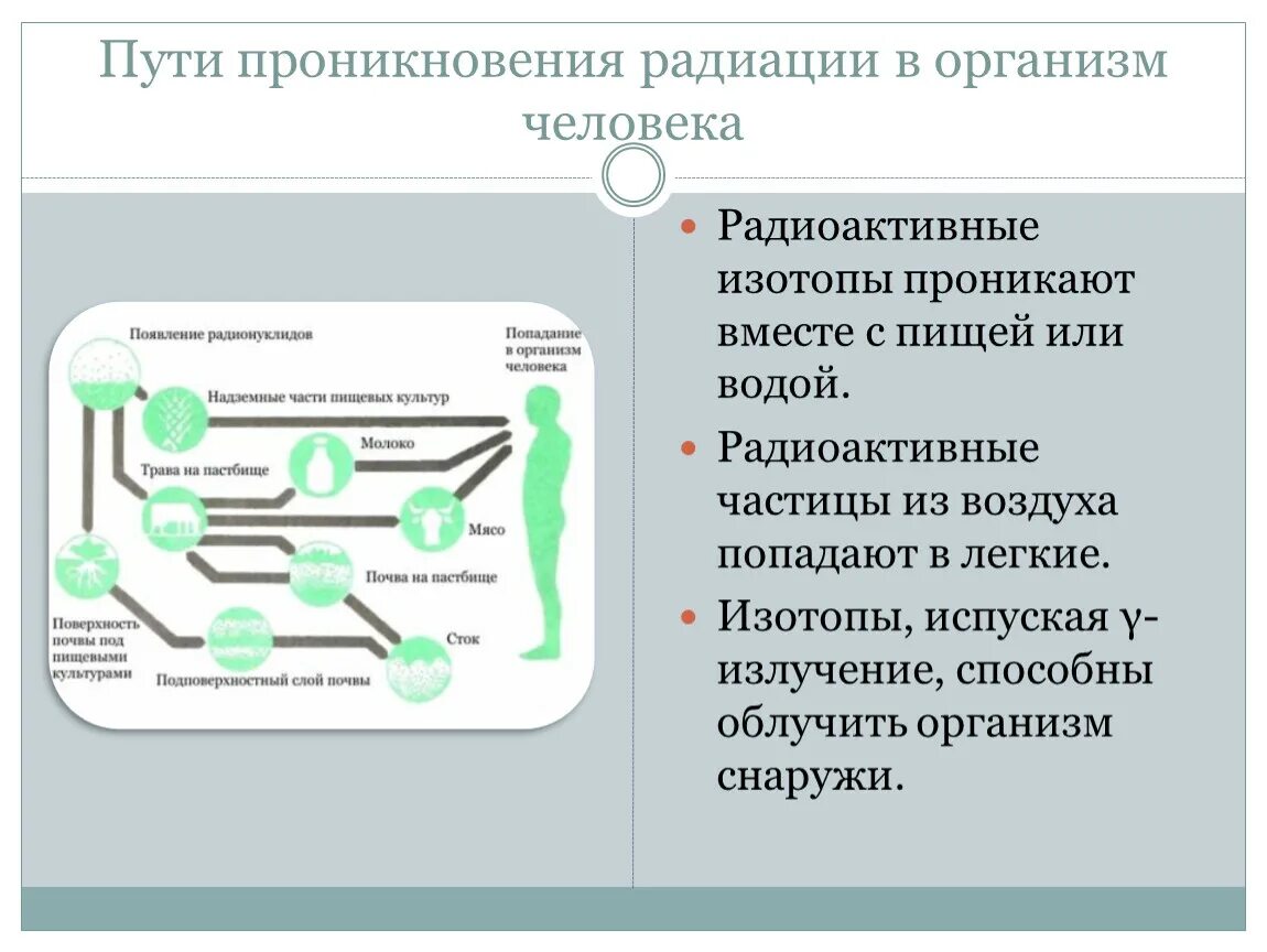 Пути проникновения радиации в организм. Пути проникновения радионуклидов в организм человека. Проникновение радиации в организм. Пути радиации проникновения радиации.