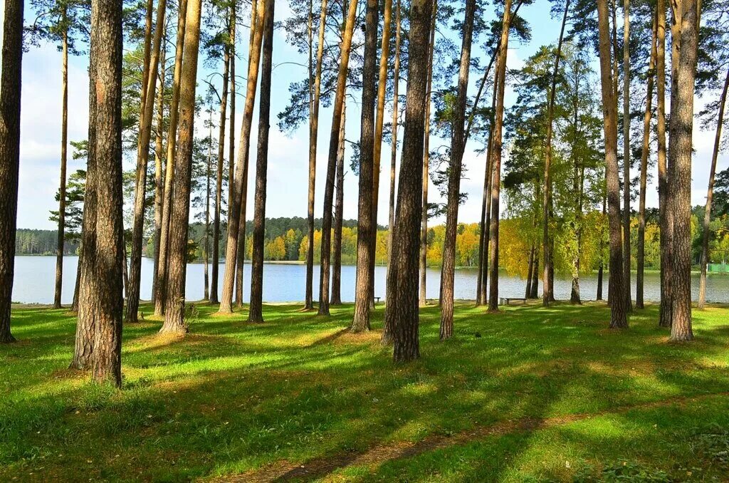 малый исток (природный парк). озеро малый исток кольцово. озеро малый исток. малый исток. парк малый исток екатеринбург.