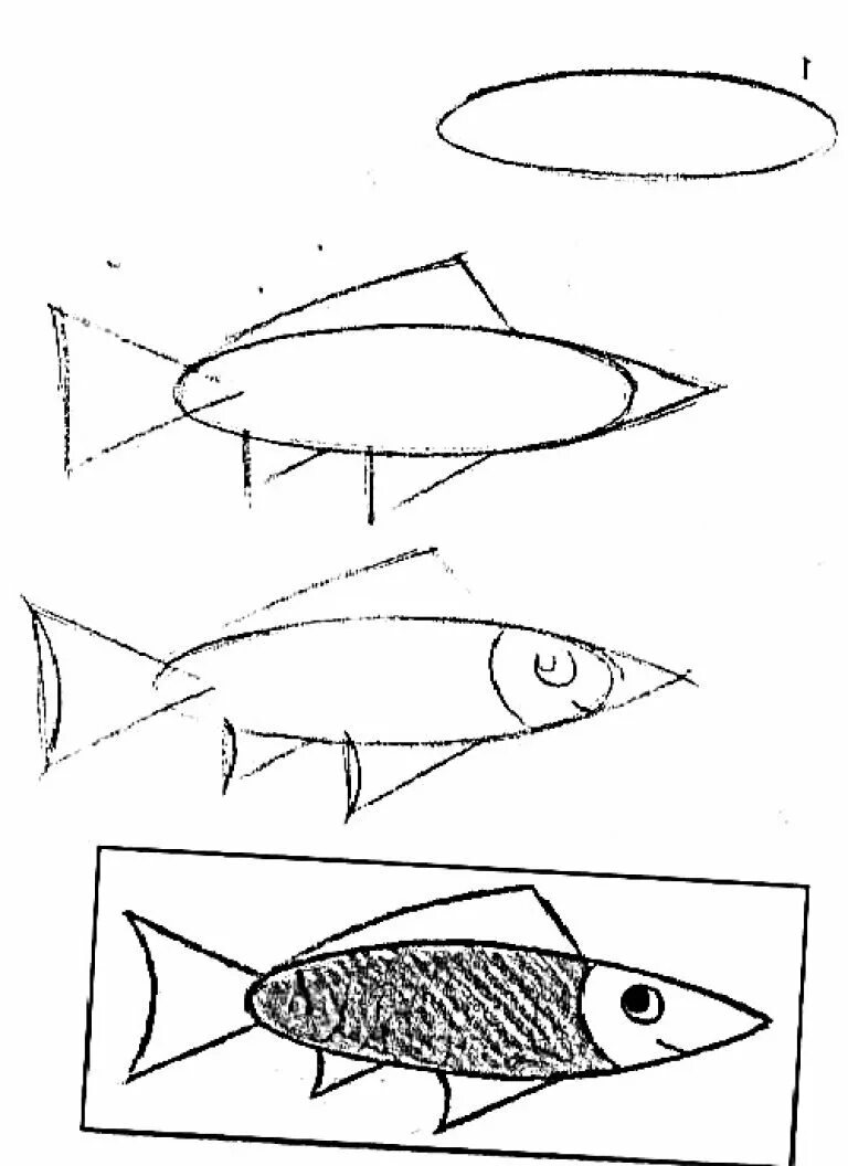 Рисование рыбы. Схема рисования рыбы. Поэтапное рисование рыбы. Рисование рыбы поэтапно.
