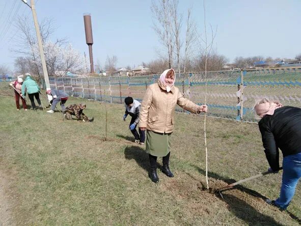 Погода ст веселая павловский район. Станица веселая. Станица веселая Краснодарский край. Веселая Павловский район. Станица Ленинградская ТОС.