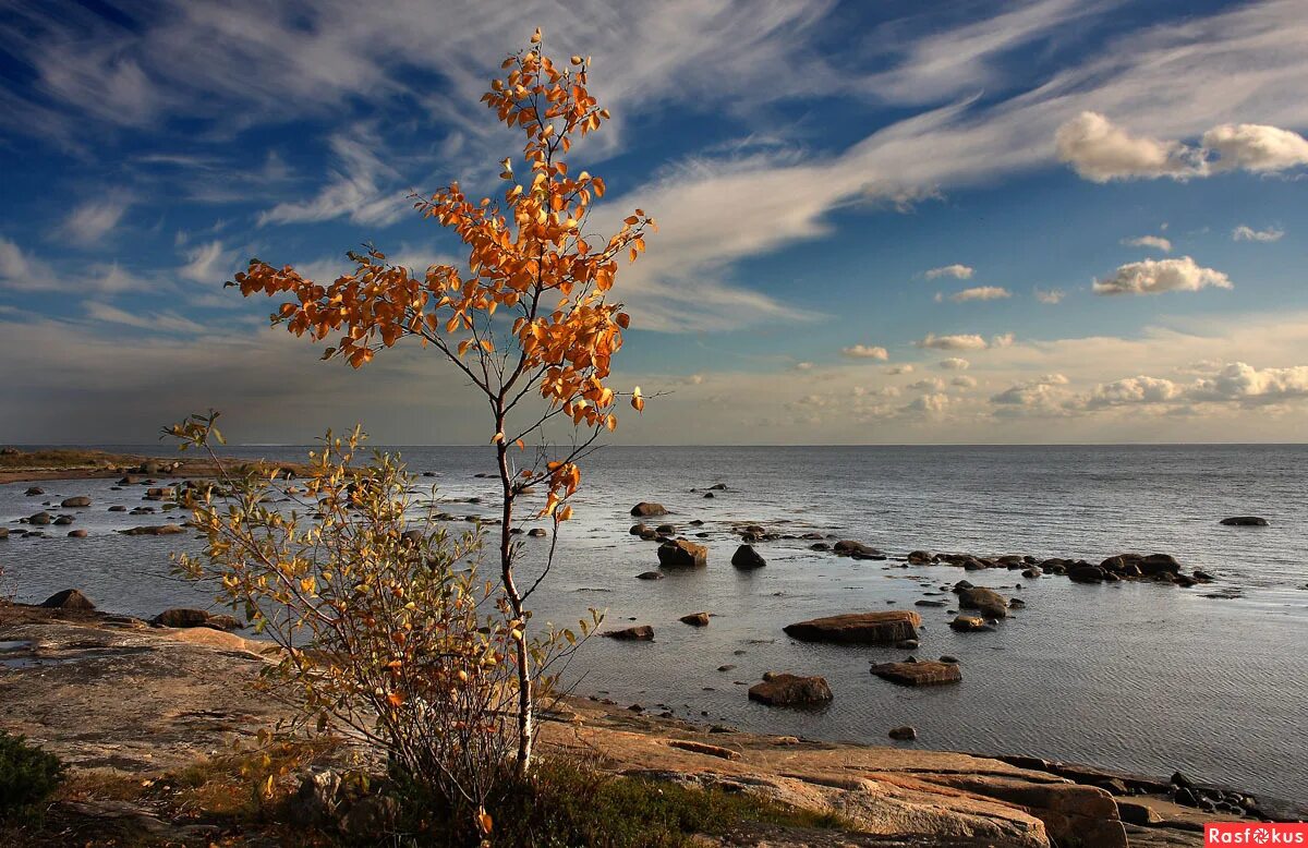 Осенний берег моря