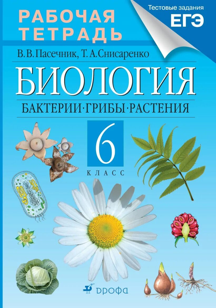 Биология тетрадь 10 11 пасечник. Пасечник биология 6 класс Издательство Дрофа. Биология 6 класс. Бактерии, грибы, растения. Пасечник. Пасечник биология 5 класс Дрофа. Пасечник 6 класс бактерии грибы растения.