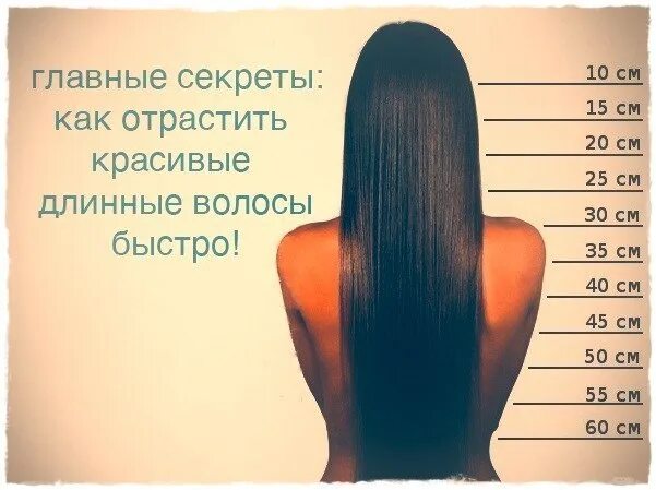 Что значит длинные волосы. Длина волос. короткие средние и длинные волосы. отрастить длинные волосы. классификация длины волос.