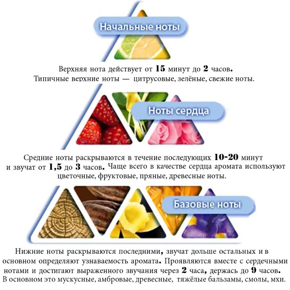 Пирамида туалетной воды. Ольфакторная пирамида аромата. Пирамида запахов в духах. Базовые Ноты в парфюмерии. Базовые Ноты ароматов.