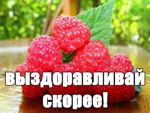 Выздоравливай скорее ошибка